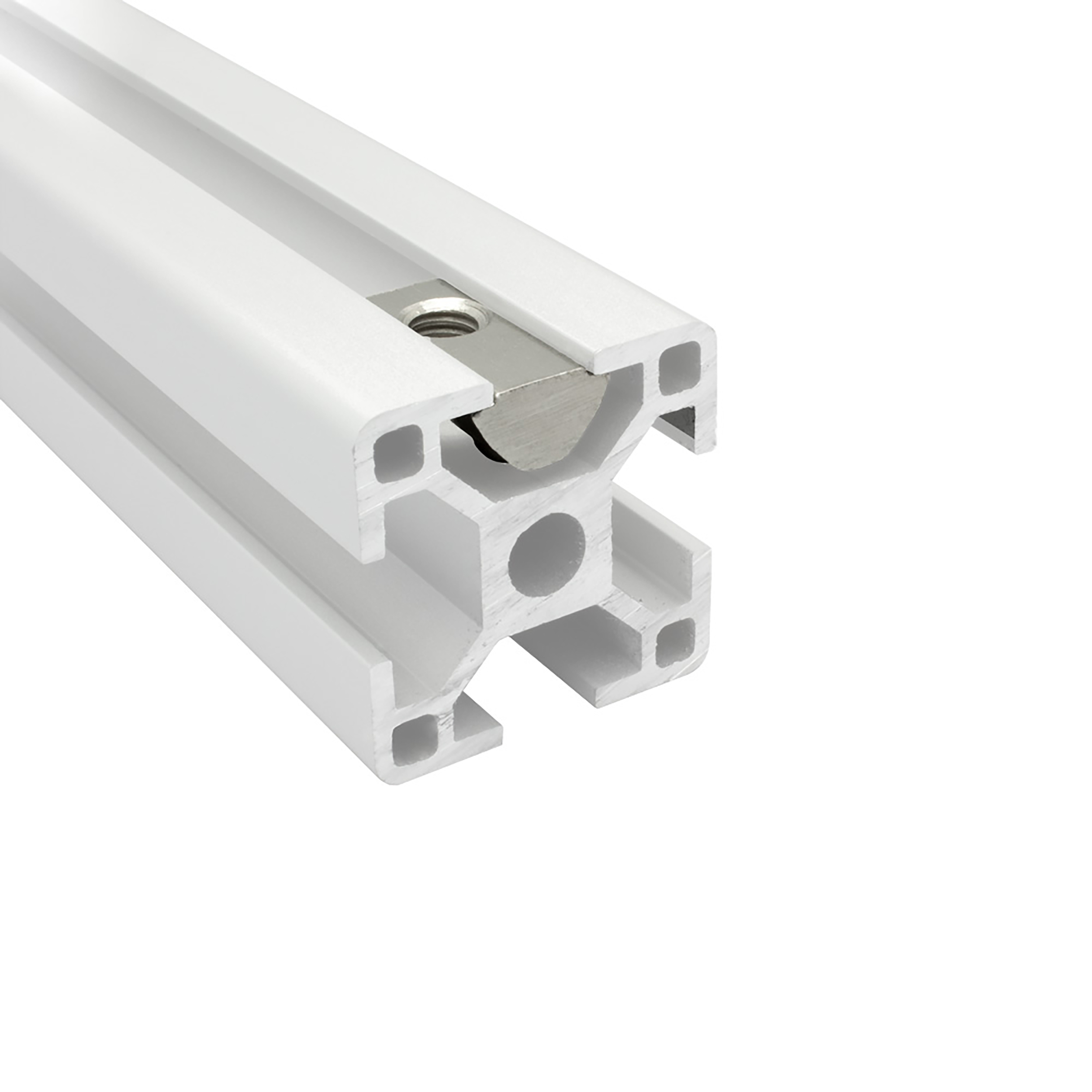 Edelstahl Nutenstein mit Federkugel und Steg M6 Nut 8 für Aluprofil 30-er - 100 Stück Edelstahl Nutenstein mit Federkugel und Steg M6 Nut 8 für Aluprofil 30-er - 100 Stück